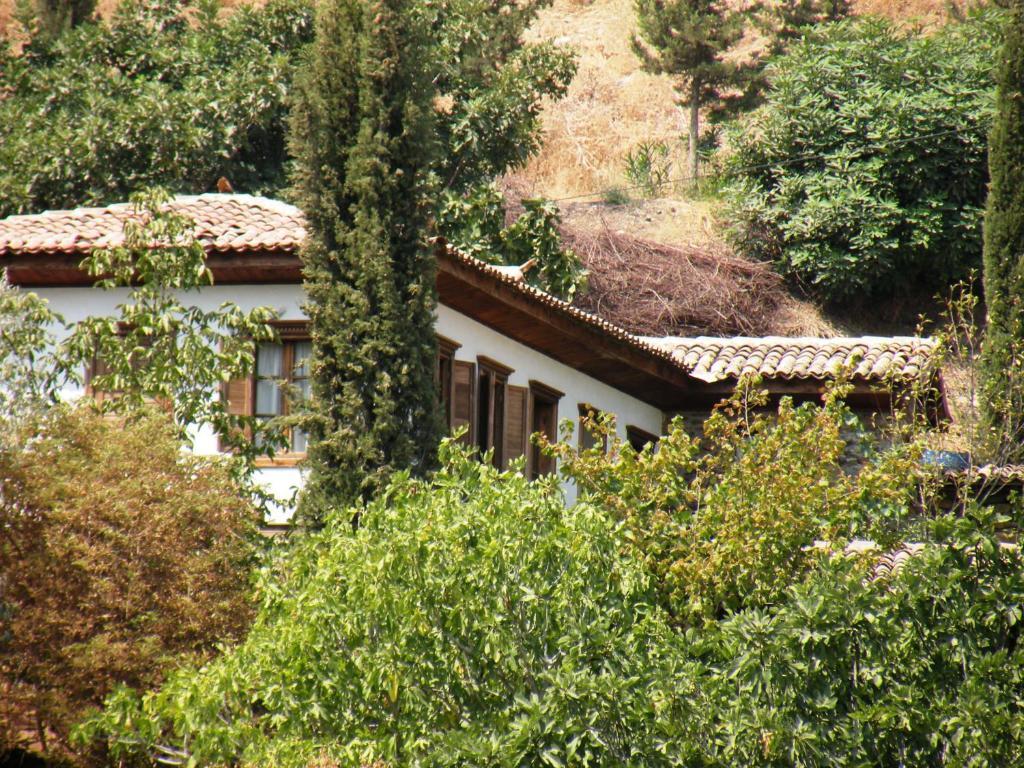 Terrace Houses Sirince 塞尔丘克 客房 照片
