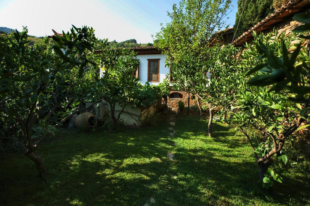 Terrace Houses Sirince 塞尔丘克 外观 照片