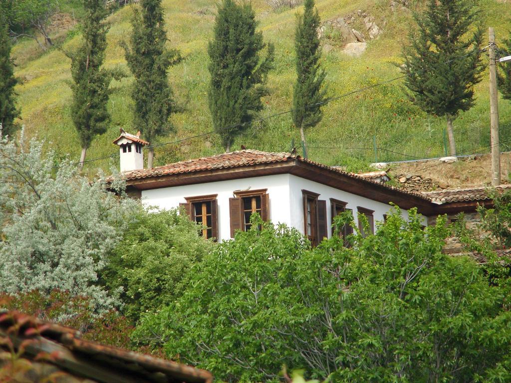Terrace Houses Sirince 塞尔丘克 外观 照片